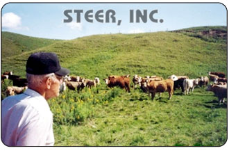 Steer Inc.